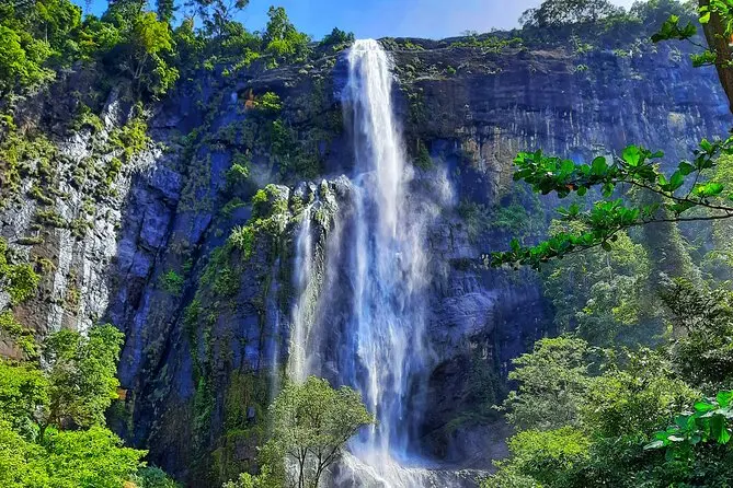 Yala Safari