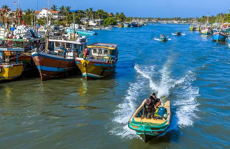 Negombo Fish Market