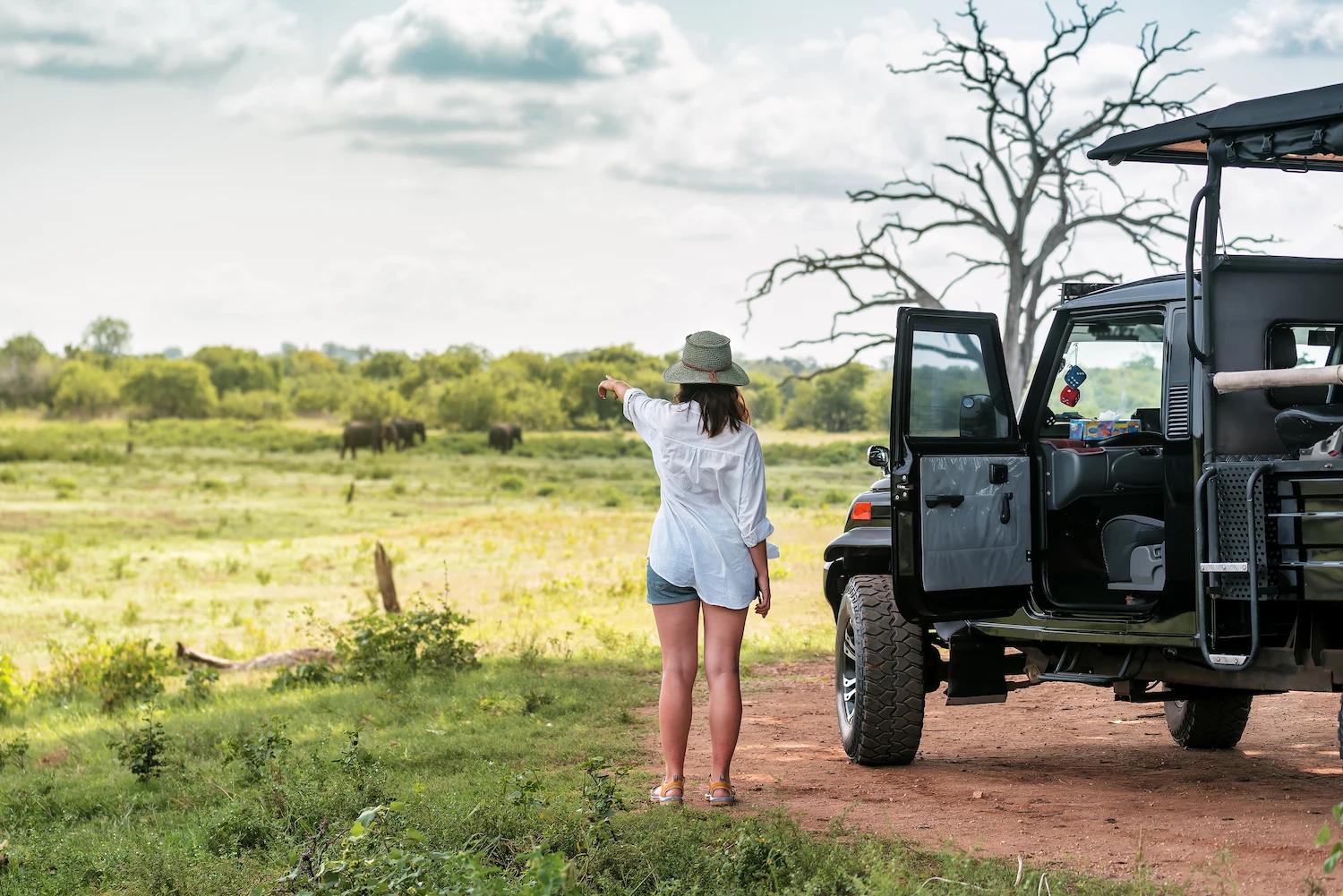 Wildlife Safari Yala