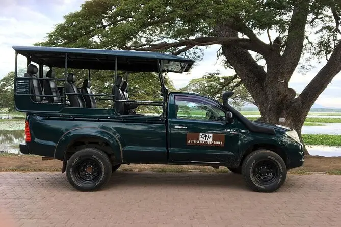 Yala Safari