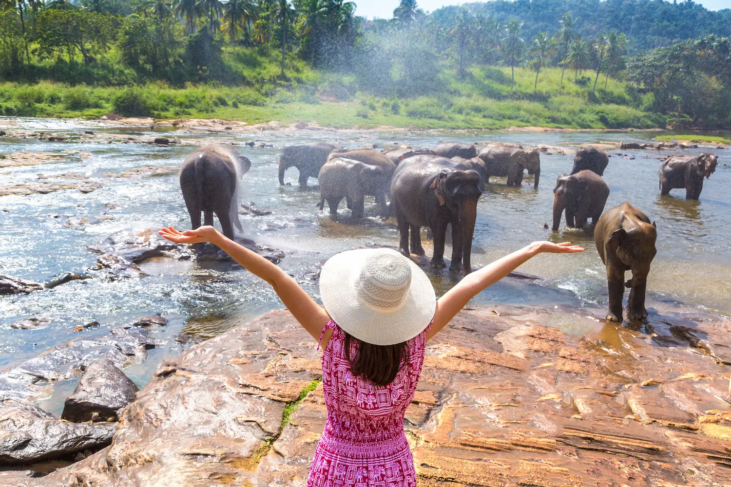Yala National Park Safari