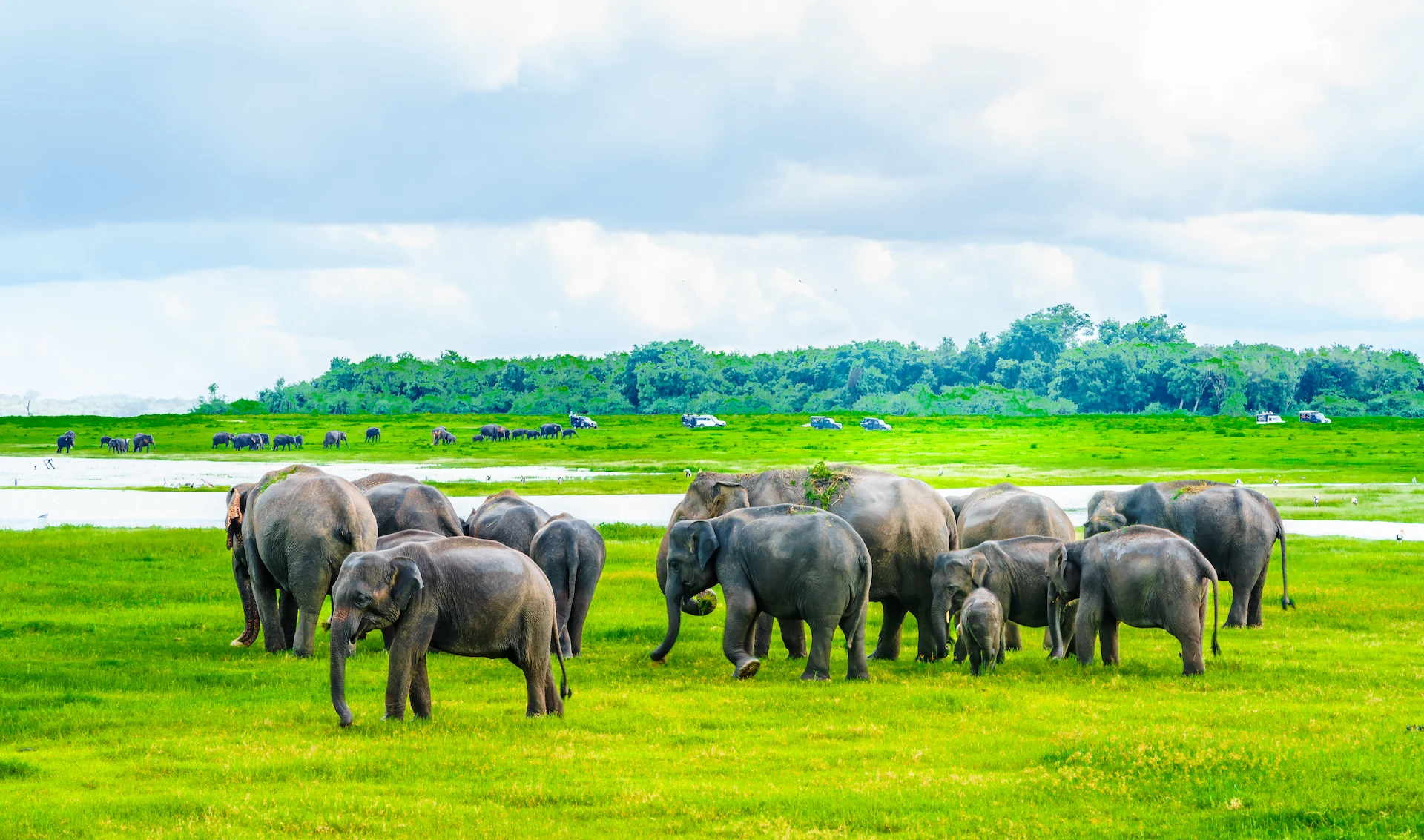 Sri Lanka Wildlife Circuit